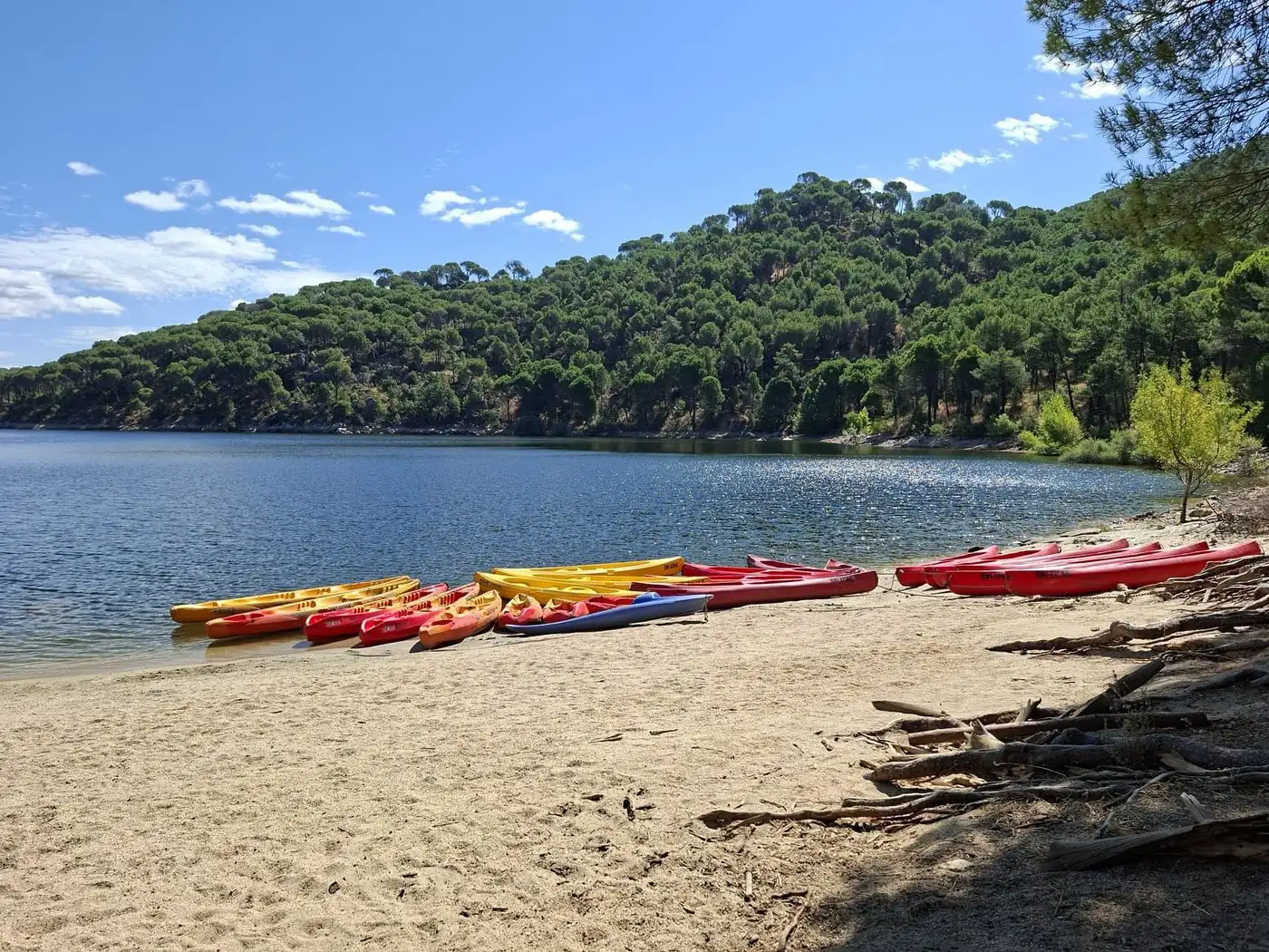 Playa del Embalse de San Juan con kayaks rojos y amarillos en la orilla y pinar al fondo