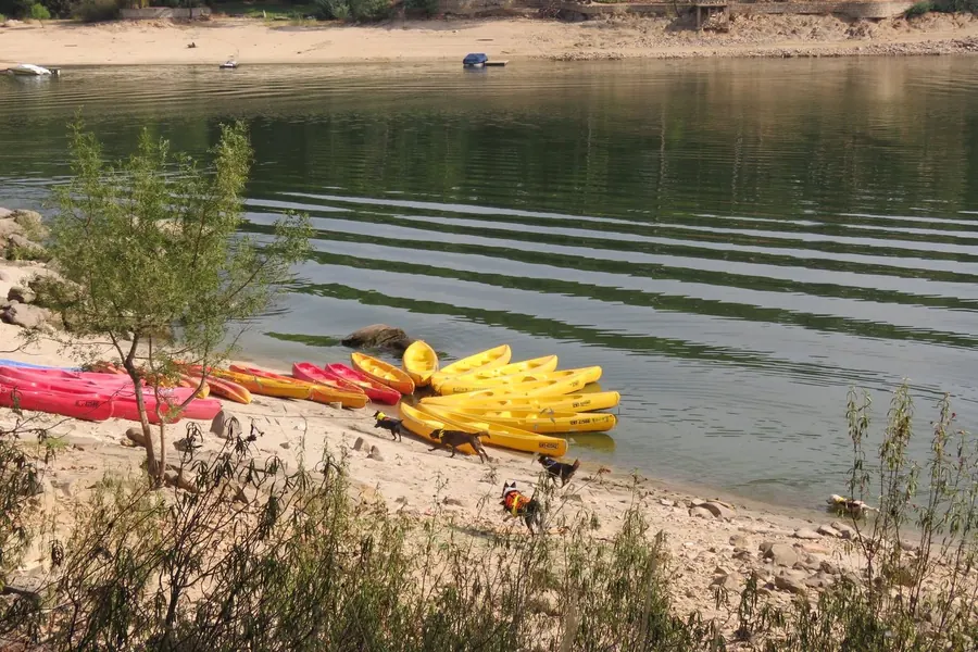 Orilla del embalse con kayaks varados y perros explorando