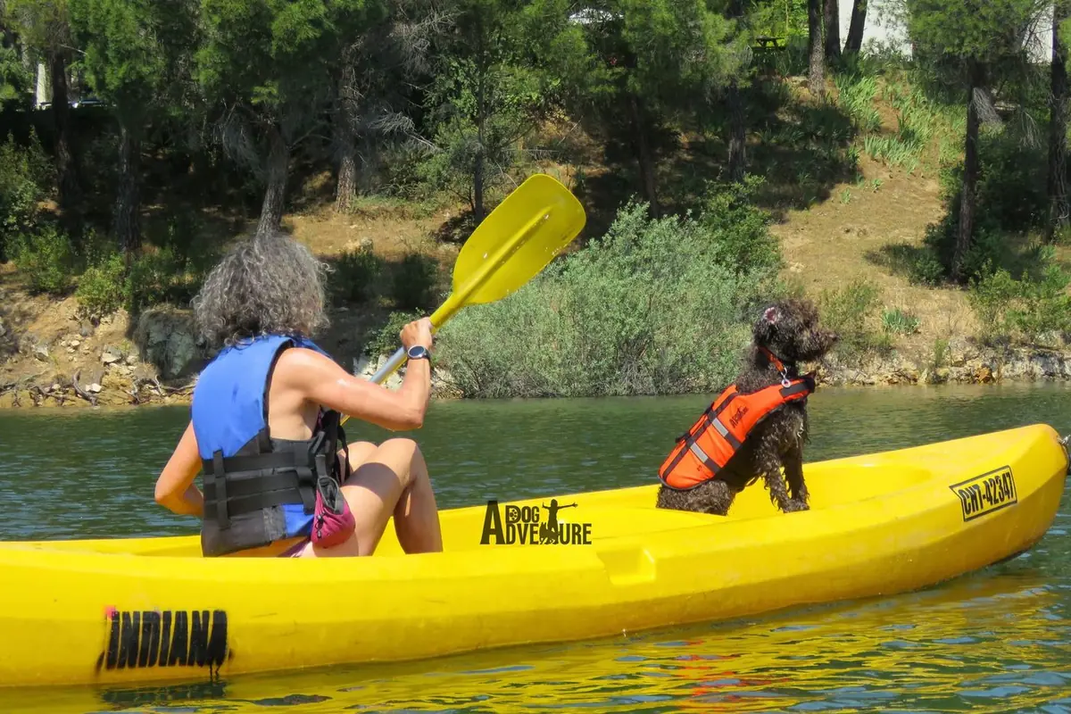 Participante de espaldas remando en un kayak amarillo con su perro de agua sentado delante